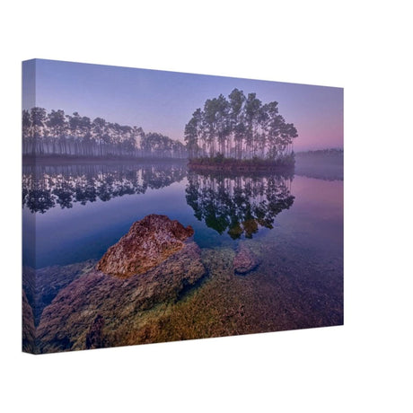 Da Vinci Nature Art Wall art print - Canvas - 30x45 cm / 12x18″ - 