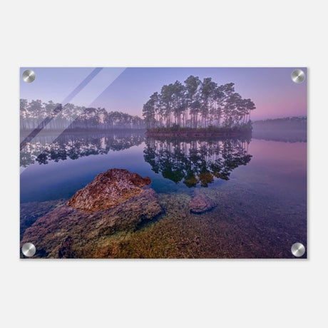 Da Vinci Nature Art Wall art print - Acrylic Print - 30x45 cm / 12x18″ - 