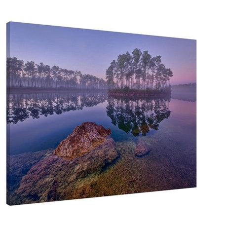 Da Vinci Nature Art Wall art print - Acrylic Print - 30x45 cm / 12x18″ - 