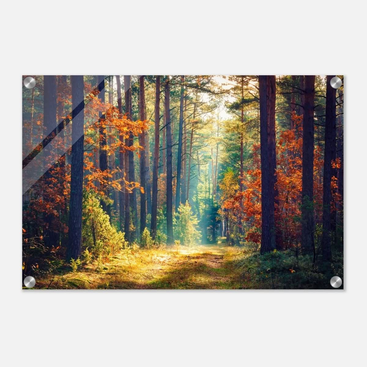 Da Vinci Nature Art Wall art print - Acrylic Print - 30x45 cm / 12x18″ - 