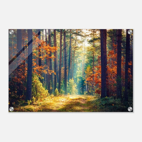 Da Vinci Nature Art Wall art print - Acrylic Print - 30x45 cm / 12x18″ - 