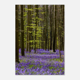 Da Vinci Nature Collection Wall Art Spring - 70x100 cm / 28x40″ - Thick - 