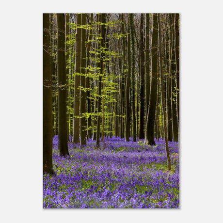 Da Vinci Nature Collection Wall Art Spring - 70x100 cm / 28x40″ - Thick - 