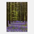 Da Vinci Nature Collection Wall Art Spring - 70x100 cm / 28x40″ - Slim - 