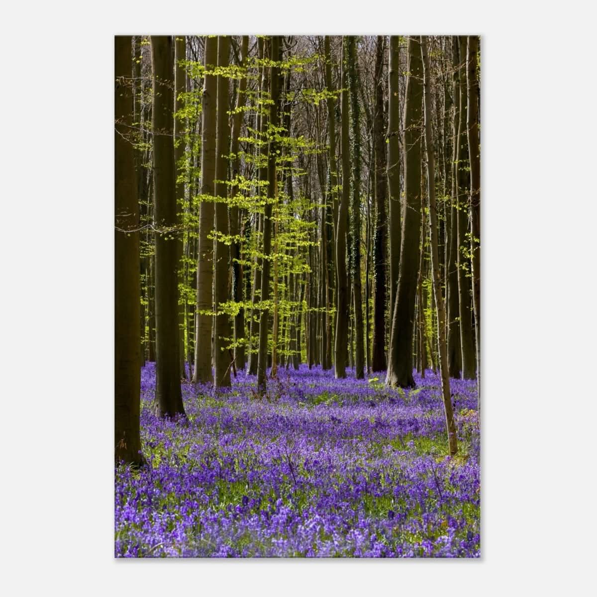 Da Vinci Nature Collection Wall Art Spring - 70x100 cm / 28x40″ - Slim - 