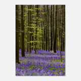 Da Vinci Nature Collection Wall Art Spring - 70x100 cm / 28x40″ - Slim - 