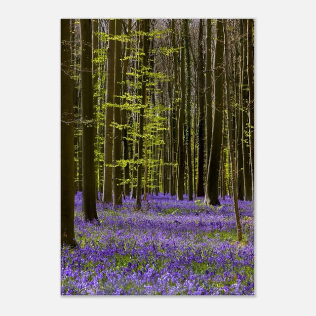 Da Vinci Nature Collection Wall Art Spring - 70x100 cm / 28x40″ - Slim - 