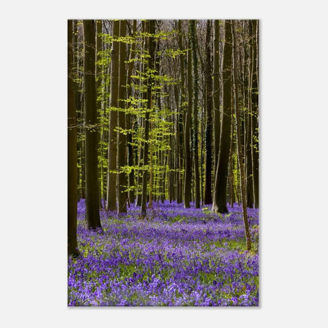 Da Vinci Nature Collection Wall Art Spring - 40x60 cm / 16x24″ - Thick - 