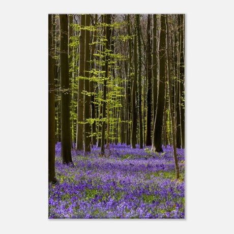 Da Vinci Nature Collection Wall Art Spring - 30x45 cm / 12x18″ - Thick - 