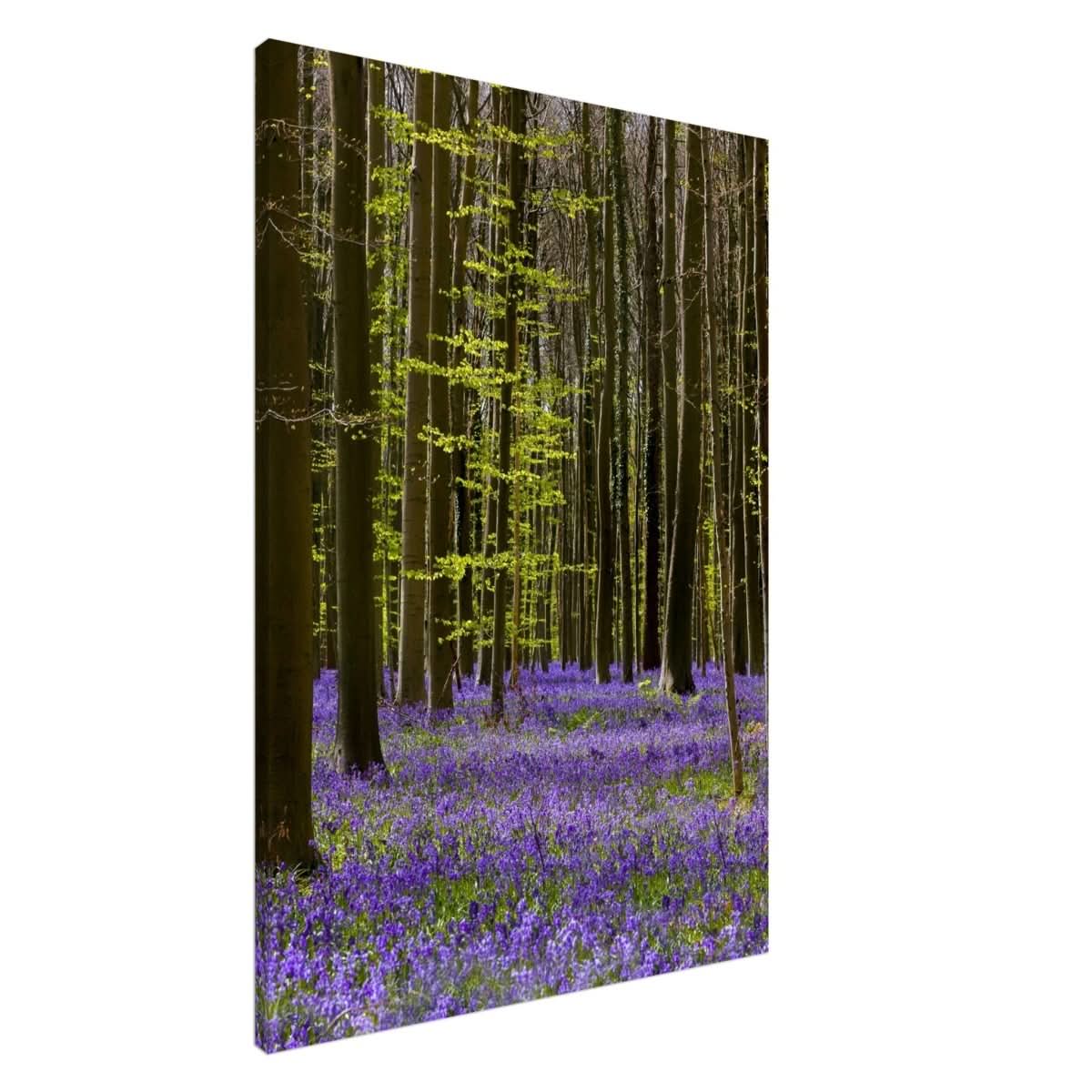 Da Vinci Nature Collection Wall Art Spring - 60x90 cm / 24x36″ - Slim - 