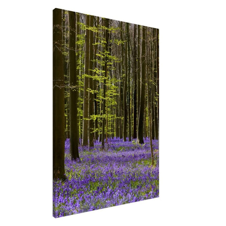 Da Vinci Nature Collection Wall Art Spring - 60x90 cm / 24x36″ - Slim - 