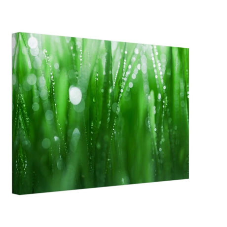 Da Vinci Nature Collection Wall Art - 50x75 cm / 20x30″ - Slim - 