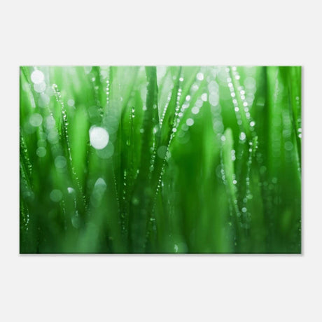 Da Vinci Nature Collection Wall Art - 40x60 cm / 16x24″ - Thick - 