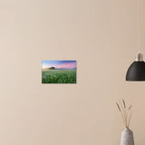 Da Vinci Nature Collection Wall Art - 60x90 cm / 24x36″ - Slim - 