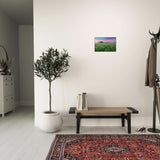 Da Vinci Nature Collection Wall Art - 60x90 cm / 24x36″ - Slim - 
