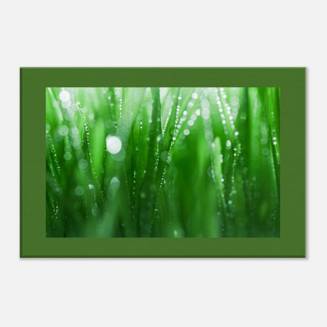 Da Vinci Nature Collection Wall Art - 30x45 cm / 12x18″ - Thick - 
