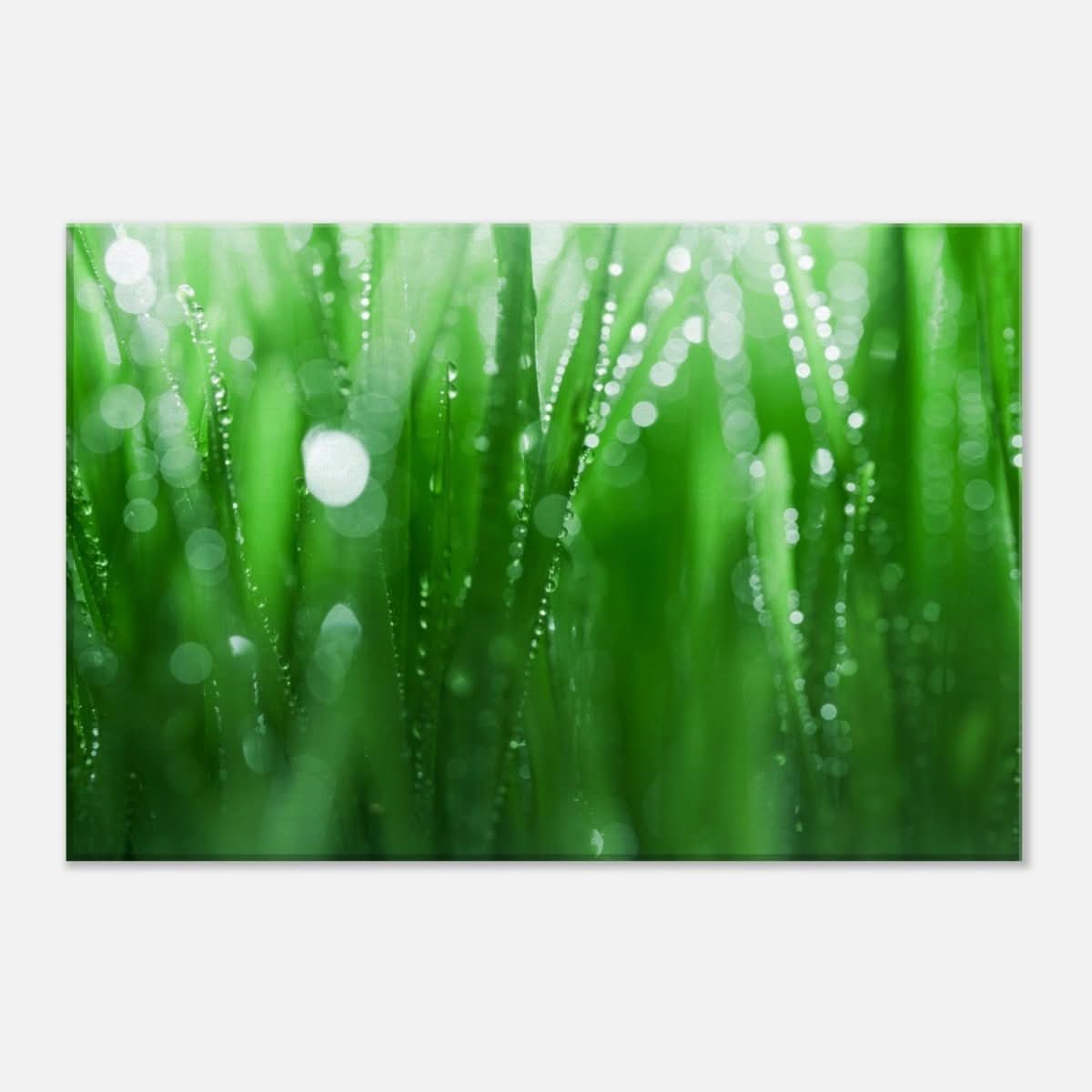 Da Vinci Nature Collection Wall Art - 30x45 cm / 12x18″ - Slim - 