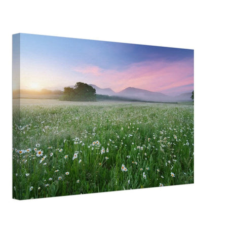 Da Vinci Nature Collection Wall Art - 60x90 cm / 24x36″ - Slim - 