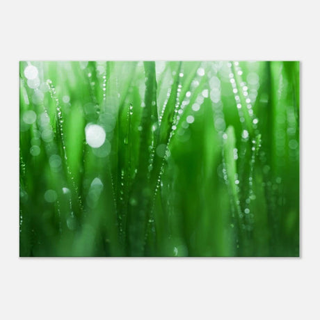 Da Vinci Nature Collection Wall Art - 70x100 cm / 28x40″ - Slim - 