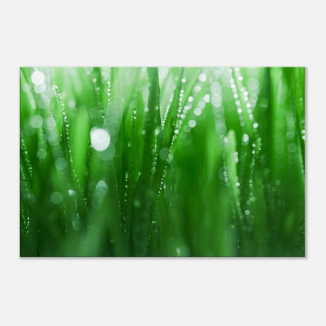 Da Vinci Nature Collection Wall Art - 50x75 cm / 20x30″ - Slim - 