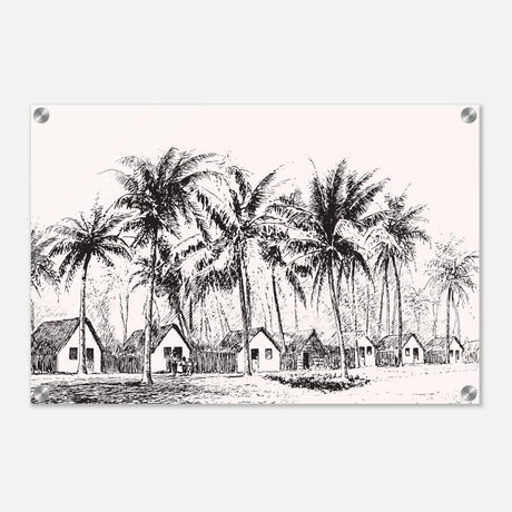 Da Vinci Nature Modern Art Wall art print | black and white beach house - Acrylic Print - 40x60 cm / 16x24″ - 