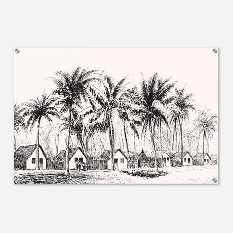 Da Vinci Nature Modern Art Wall art print | black and white beach house - Acrylic Print - 60x90 cm / 24x36″ - 