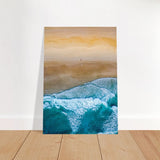 Da Vinci Nature Wall art | Beach - Brushed Aluminum Print - 70x100 cm / 28x40″ - 