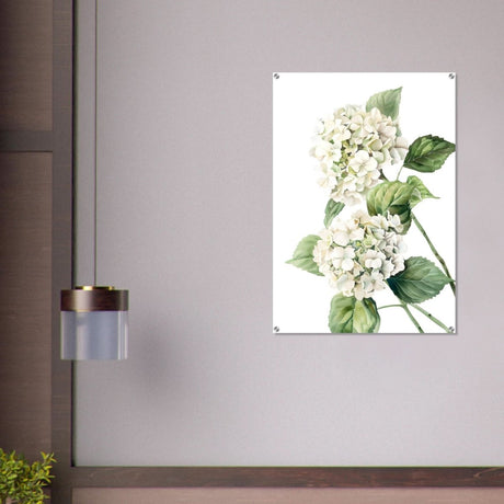 Da Vinci Nature Wall art | Floral - Acrylic Print - 70x100 cm / 28x40″ - 