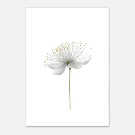 Da Vinci Nature Wall art | Floral - Aluminum Print - 70x100 cm / 28x40″ - 