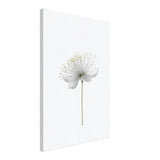 Da Vinci Nature Wall art | Floral - Canvas - 50x75 cm / 20x30″ - Thick