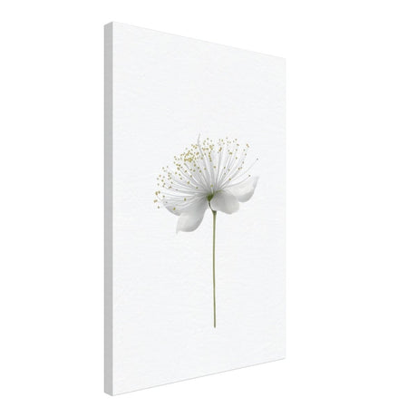 Da Vinci Nature Wall art | Floral - Canvas - 50x75 cm / 20x30″ - Thick