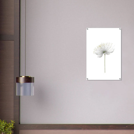 Da Vinci Nature Wall art | Floral - Acrylic Print - 50x75 cm / 20x30″ - 