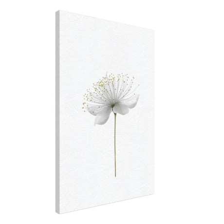 Da Vinci Nature Wall art | Floral - Canvas - 50x75 cm / 20x30″ - Slim