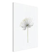 Da Vinci Nature Wall art | Floral - Canvas - 70x100 cm / 28x40″ - Thick