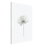 Da Vinci Nature Wall art | Floral - Canvas - 70x100 cm / 28x40″ - Thick