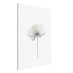 Da Vinci Nature Wall art | Floral - Canvas - 70x100 cm / 28x40″ - Thick