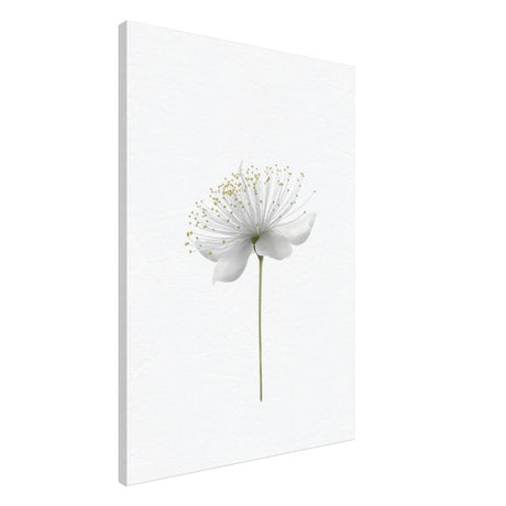 Da Vinci Nature Wall art | Floral - Canvas - 70x100 cm / 28x40″ - Thick