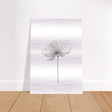 Da Vinci Nature Wall art | Floral - Brushed Aluminum Print - 70x100 cm / 28x40″ - 
