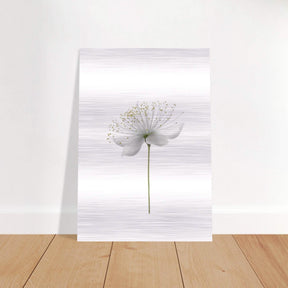 Da Vinci Nature Wall art | Floral - Brushed Aluminum Print - 70x100 cm / 28x40″ - 