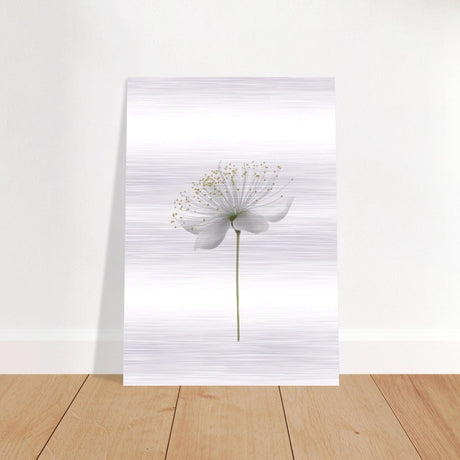 Da Vinci Nature Wall art | Floral - Brushed Aluminum Print - 70x100 cm / 28x40″ - 