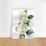 Da Vinci Nature Wall art | Floral - Brushed Aluminum Print - 70x100 cm / 28x40″ - 