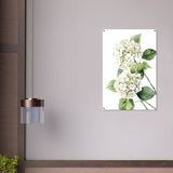Da Vinci Nature Wall art | Floral - Acrylic Print - 60x90 cm / 24x36″ - 