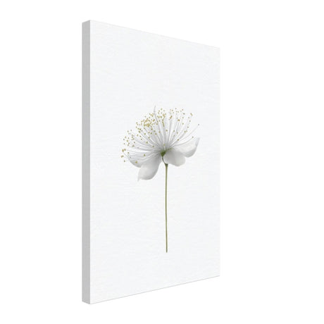 Da Vinci Nature Wall art | Floral - Canvas - 40x60 cm / 16x24″ - Thick