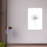Da Vinci Nature Wall art | Floral - Acrylic Print - 60x90 cm / 24x36″ - 