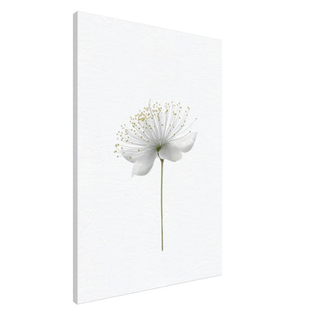 Da Vinci Nature Wall art | Floral - Canvas - 70x100 cm / 28x40″ - Slim
