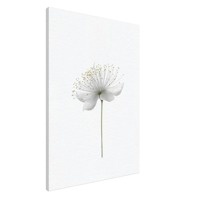 Da Vinci Nature Wall art | Floral - Canvas - 70x100 cm / 28x40″ - Slim