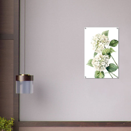 Da Vinci Nature Wall art | Floral - Acrylic Print - 50x75 cm / 20x30″ - 