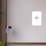 Da Vinci Nature Wall art | Floral - Acrylic Print - 40x60 cm / 16x24″ - 