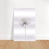 Da Vinci Nature Wall art | Floral - Brushed Aluminum Print - 40x60 cm / 16x24″ - 