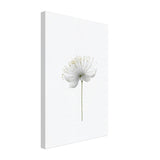 Da Vinci Nature Wall art | Floral - Canvas - 30x45 cm / 12x18″ - Slim